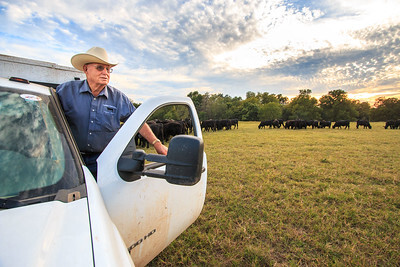 Is My Farm Underinsured?