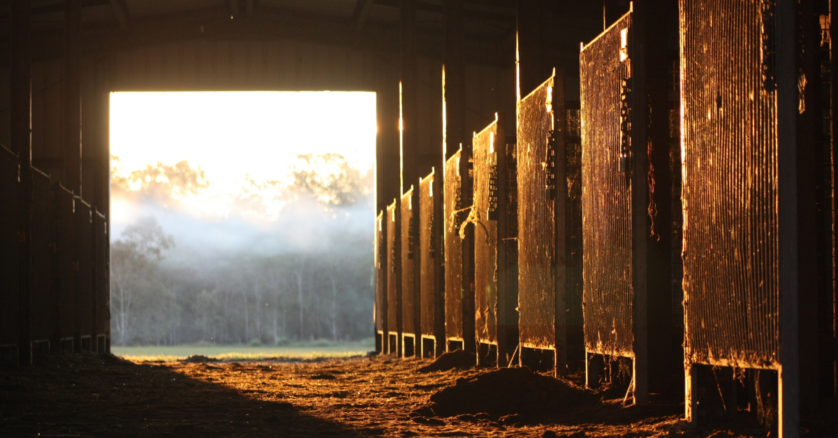 8 Barn Cleaning Tips for Spring Cleaning Season