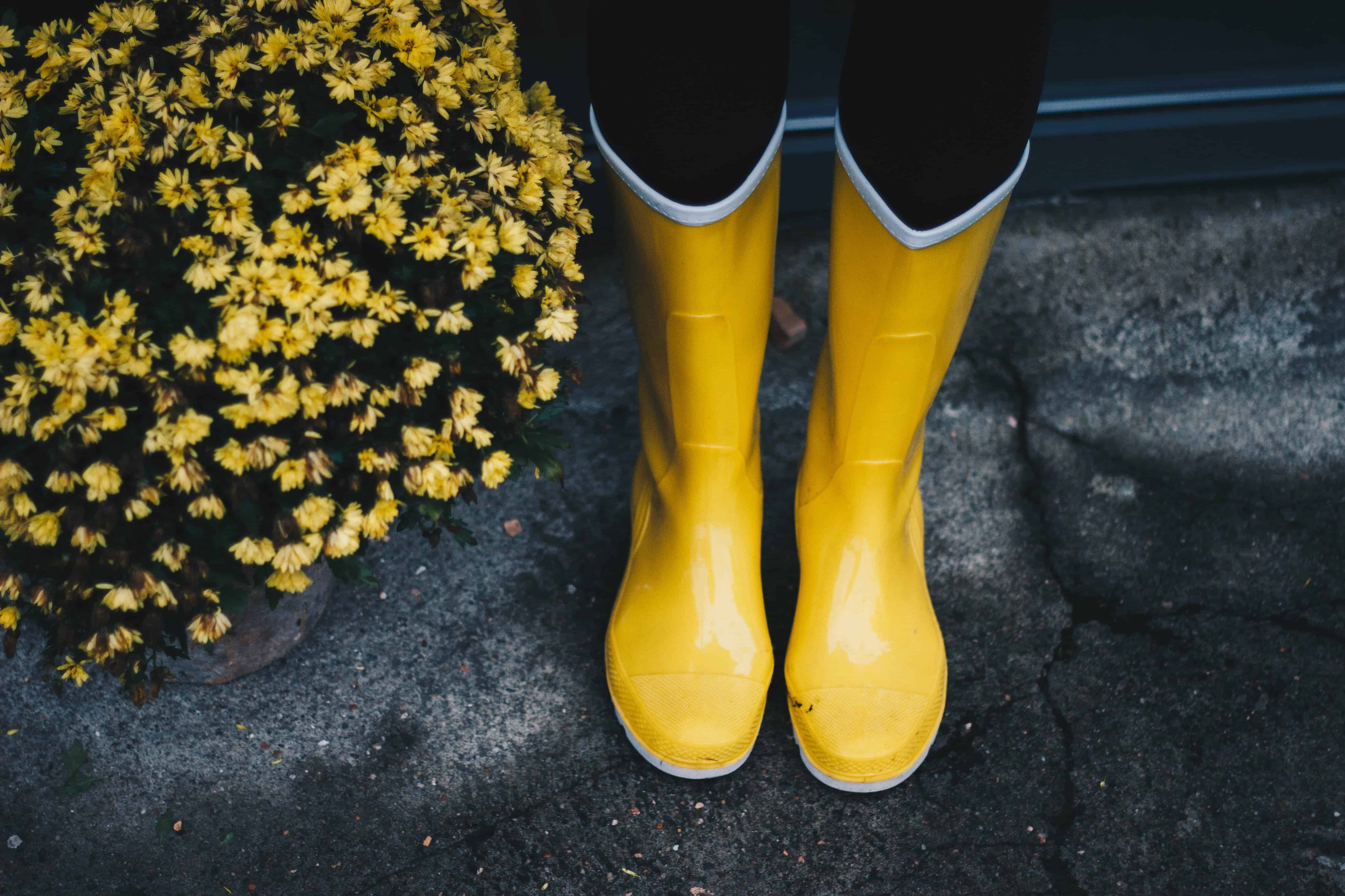 How to Minimize Flooding in Your Home