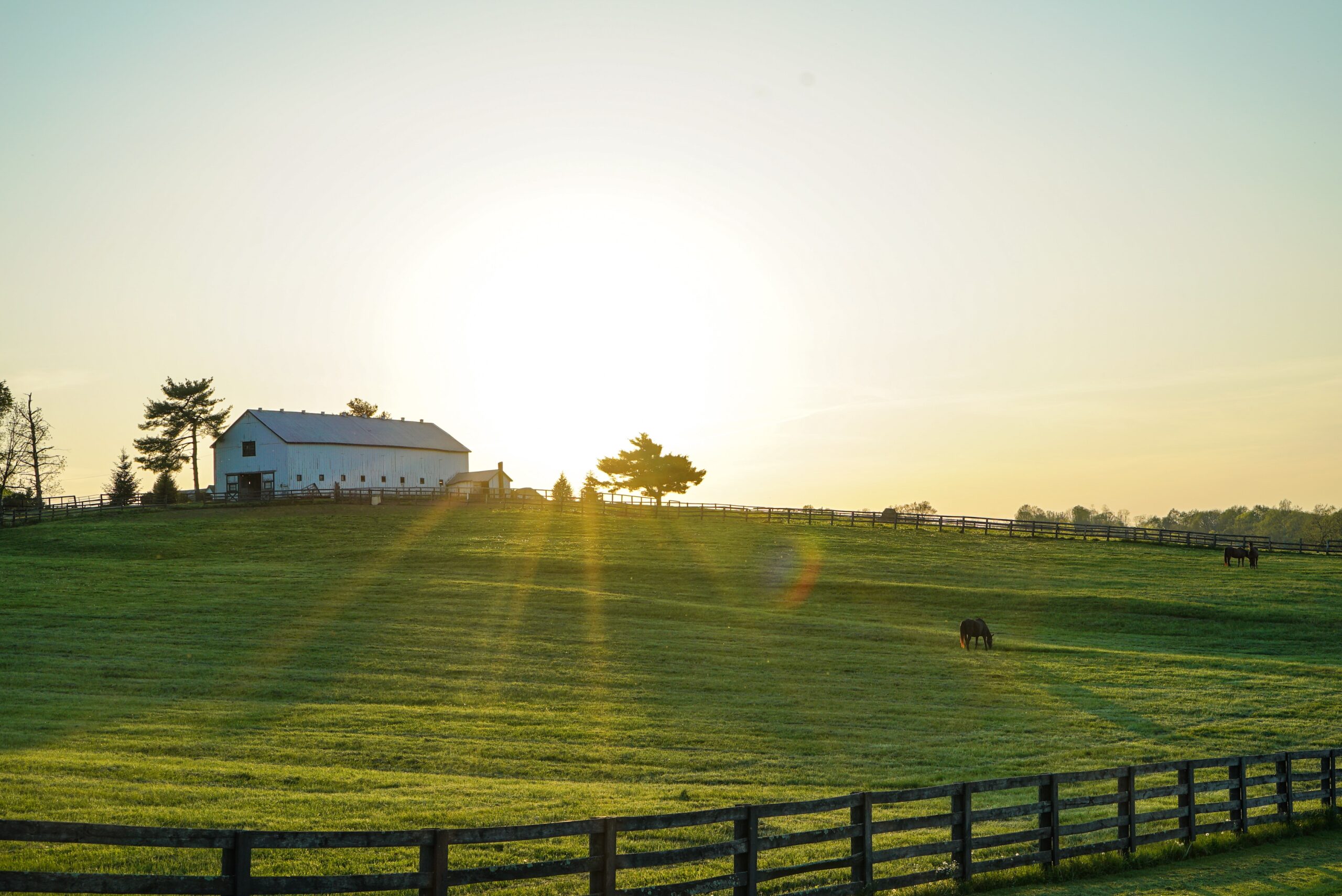 Farm and Ranch Insurance vs. Homeowners Insurance: What’s the Difference?