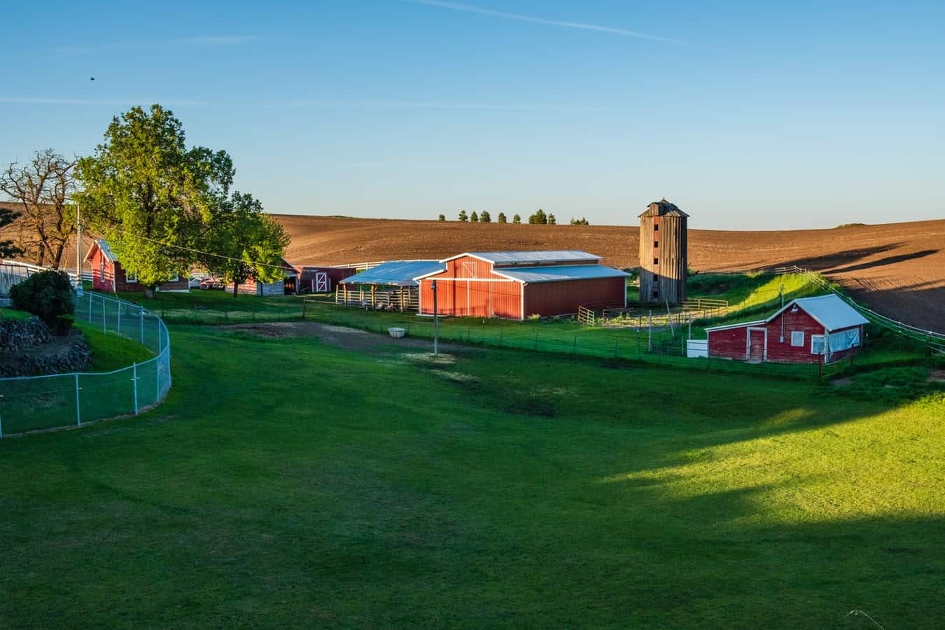 The Basics: Farm & Ranch Insurance